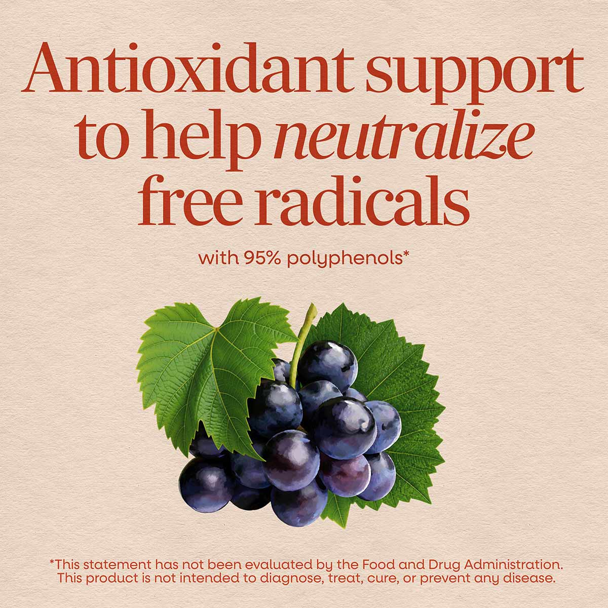 Grape Seed, by Natures Way