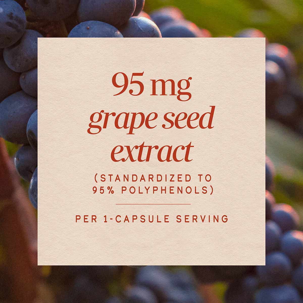Grape Seed, by Natures Way