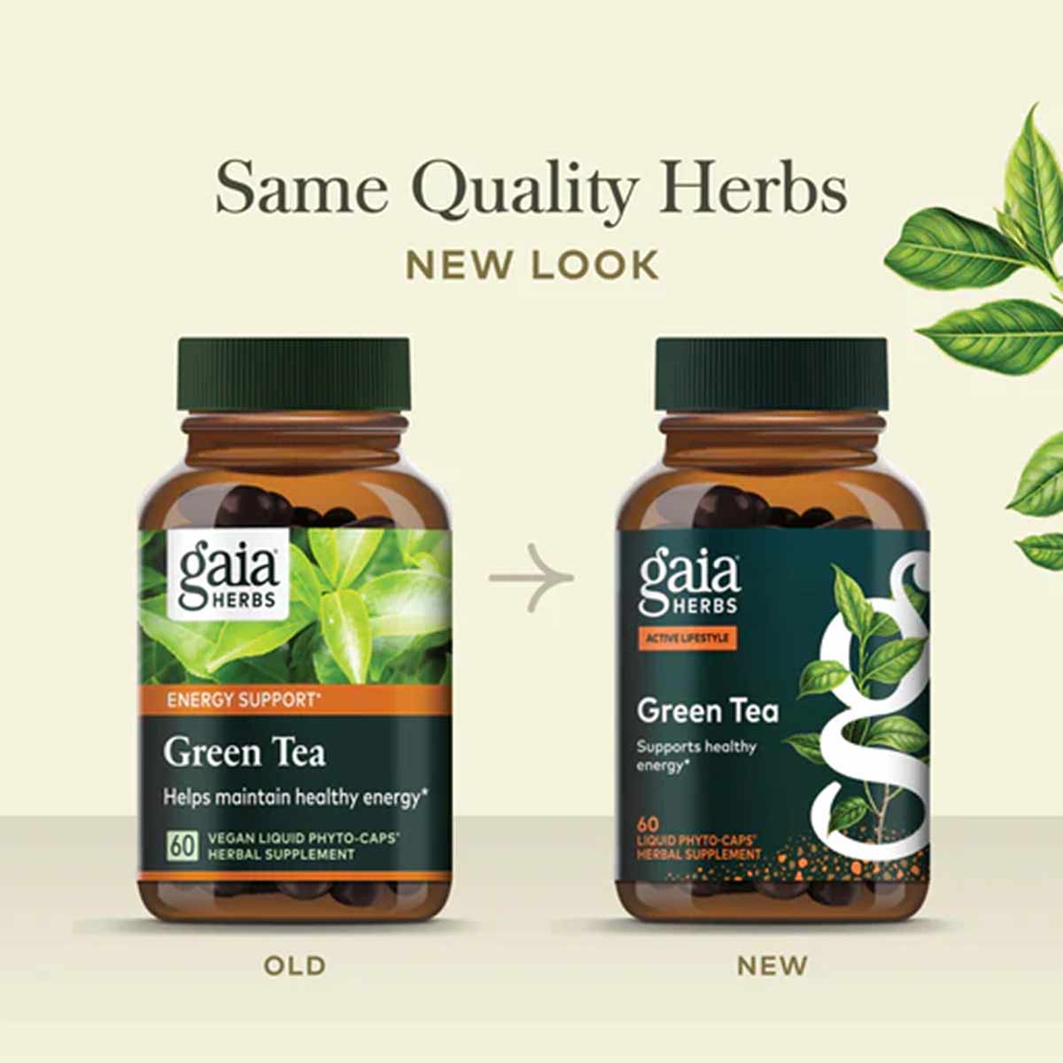 Two amber bottles of Gaia Herbs Green Tea with dark green caps, showing old and new label designs side by side.
