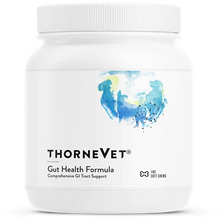 White container of Thorne Vet Gut Health Formula soft chews with blue watercolor logo and white screw-top lid.