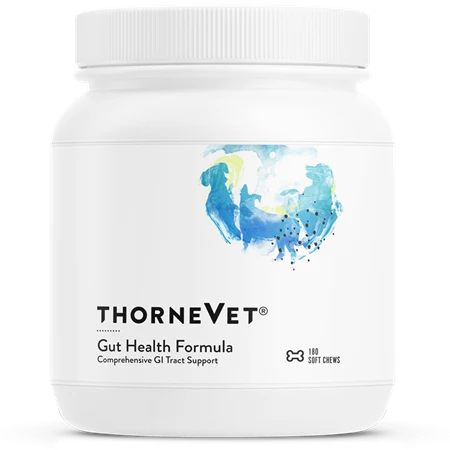 White container of Thorne Vet Gut Health Formula soft chews with blue watercolor logo and white screw-top lid.