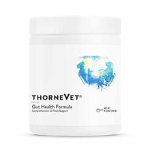 White plastic container of Thorne Vet Gut Health Formula powder with blue watercolor logo and black text label.