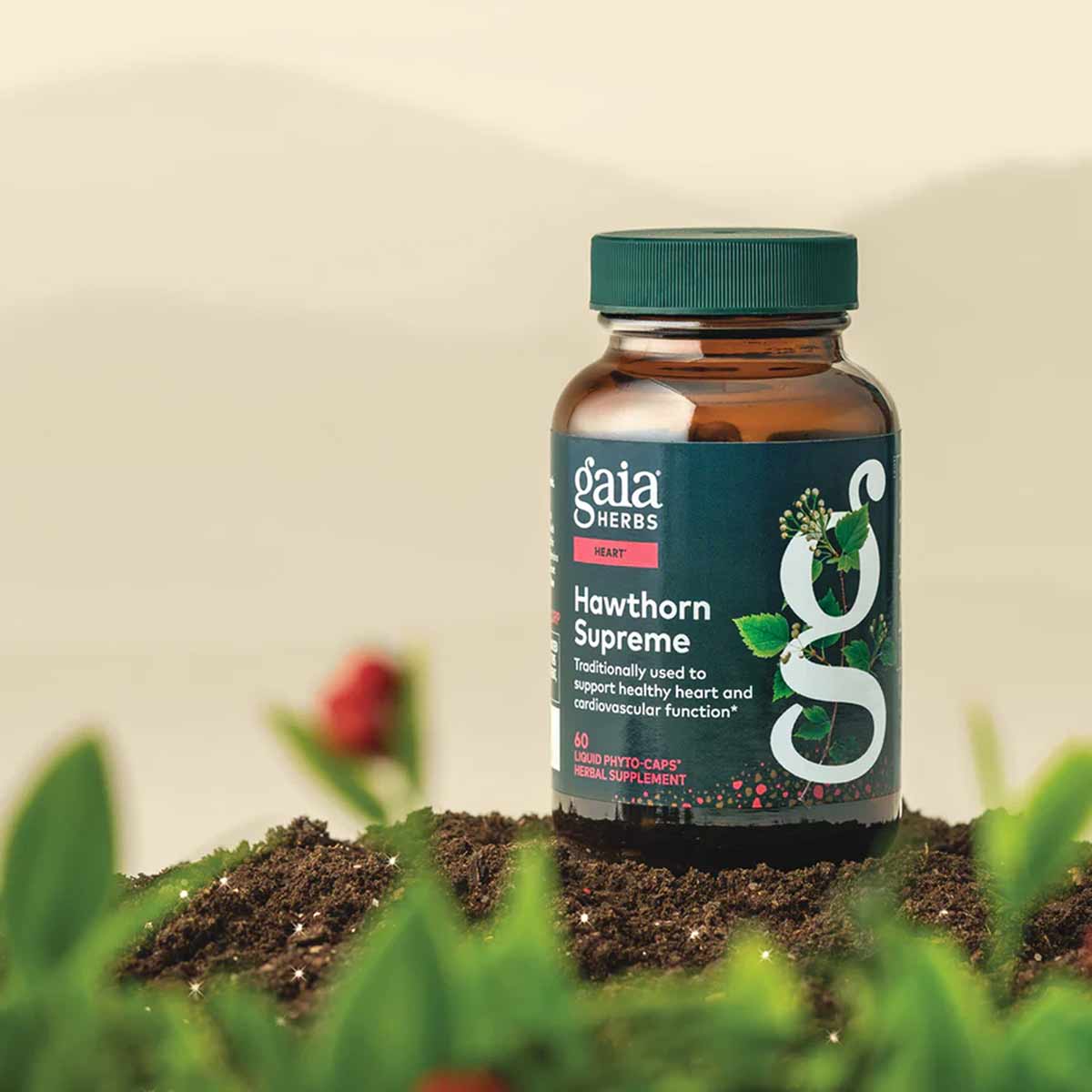 Gaia Herbs Hawthorn Supreme bottle with green cap and dark label displayed on soil with plant sprouts and hawthorn berries.