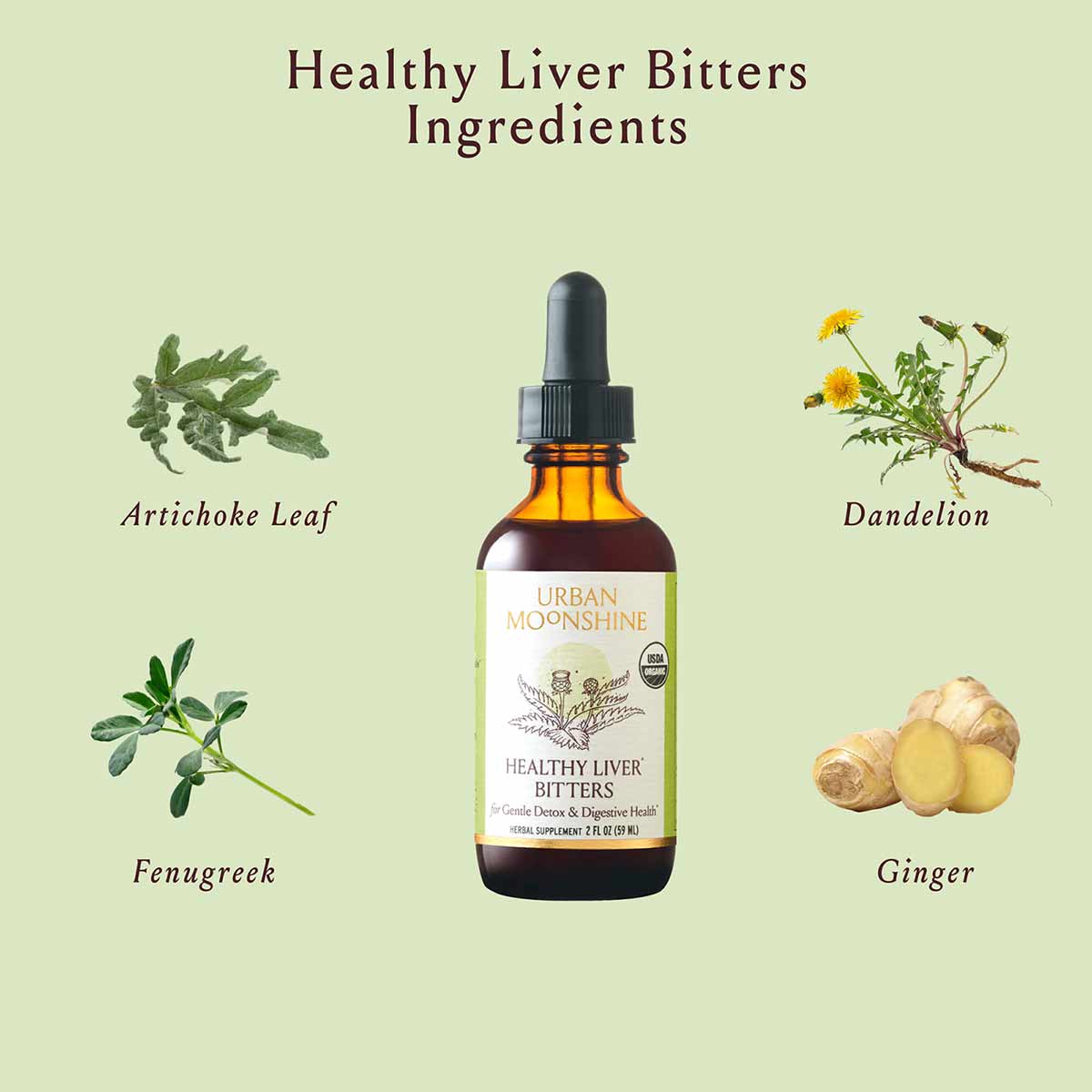 Urban Moonshine Healthy Liver Bitters bottle with dropper surrounded by artichoke leaf, dandelion, fenugreek, and ginger ingr