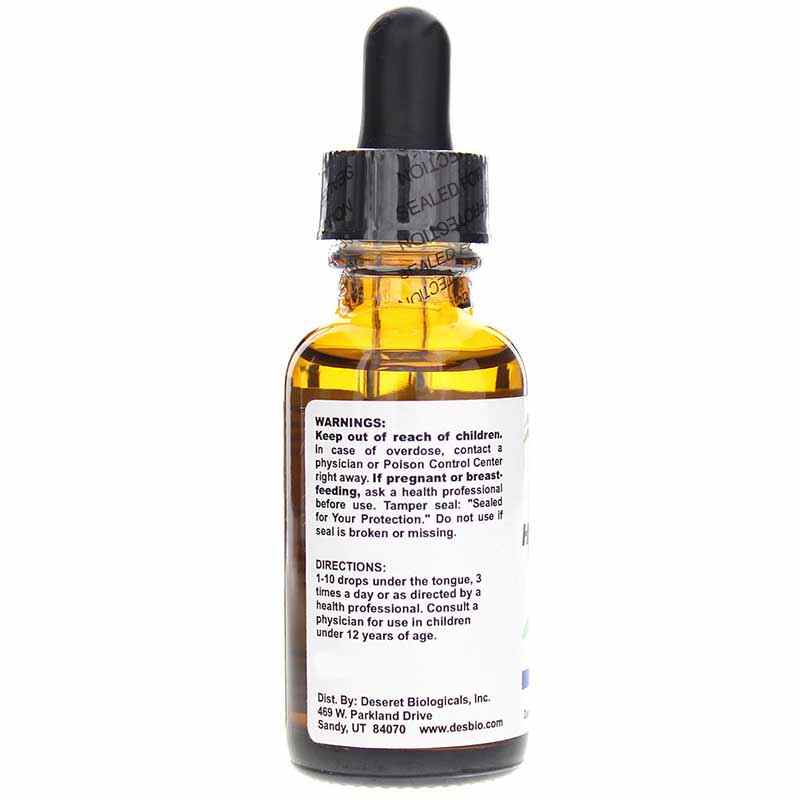 HERZ:HOMO, by DesBio, image #3