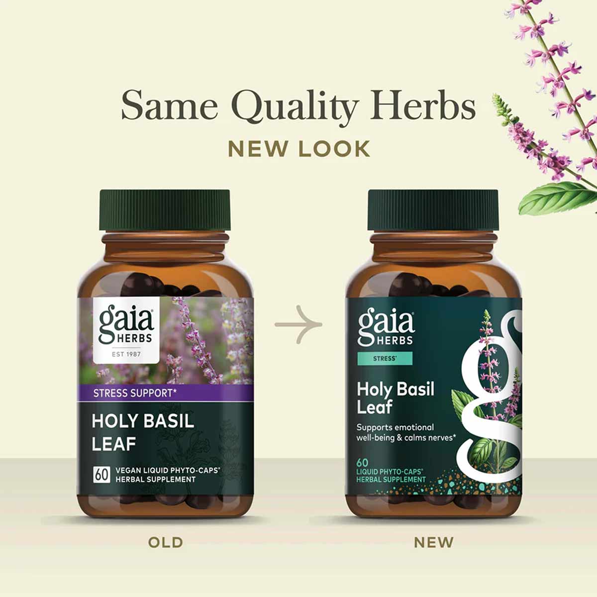 Holy Basil Leaf, by Gaia Herbs
