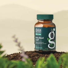 Holy Basil Leaf, by Gaia Herbs