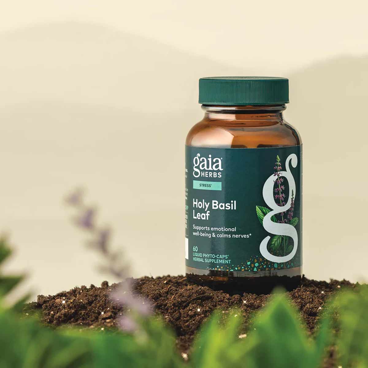 Holy Basil Leaf, by Gaia Herbs
