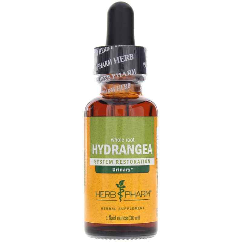 Hydrangea Extract, 1 Oz, by Herb Pharm