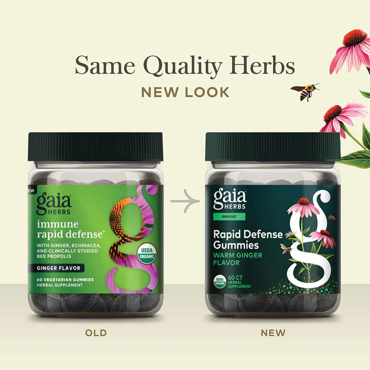 Two glass jars of Gaia Herbs gummies side by side showing old green label and new dark teal label designs, both containing 60