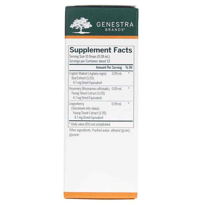 Intest-gen, by Genestra, image #2