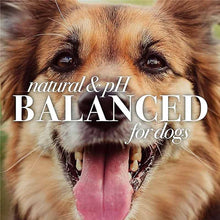 Itch Soothing Shampoo for Dogs, 16 Oz, by Burt's Bees Pets, image #6