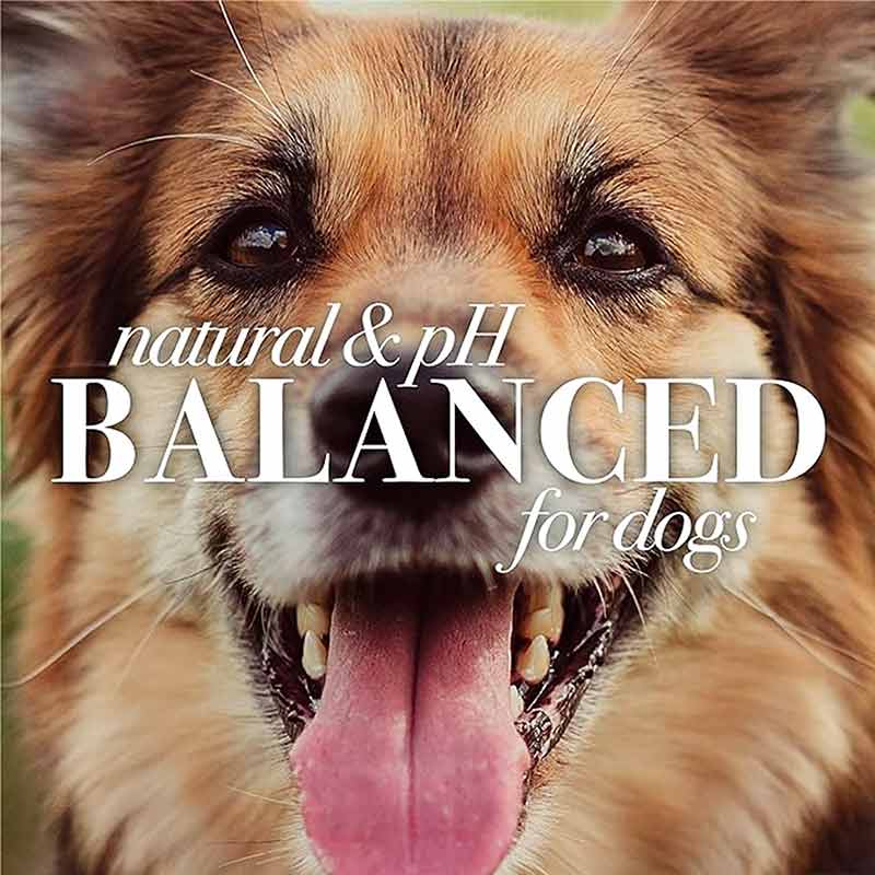 Itch Soothing Shampoo for Dogs, 16 Oz, by Burt's Bees Pets, image #6