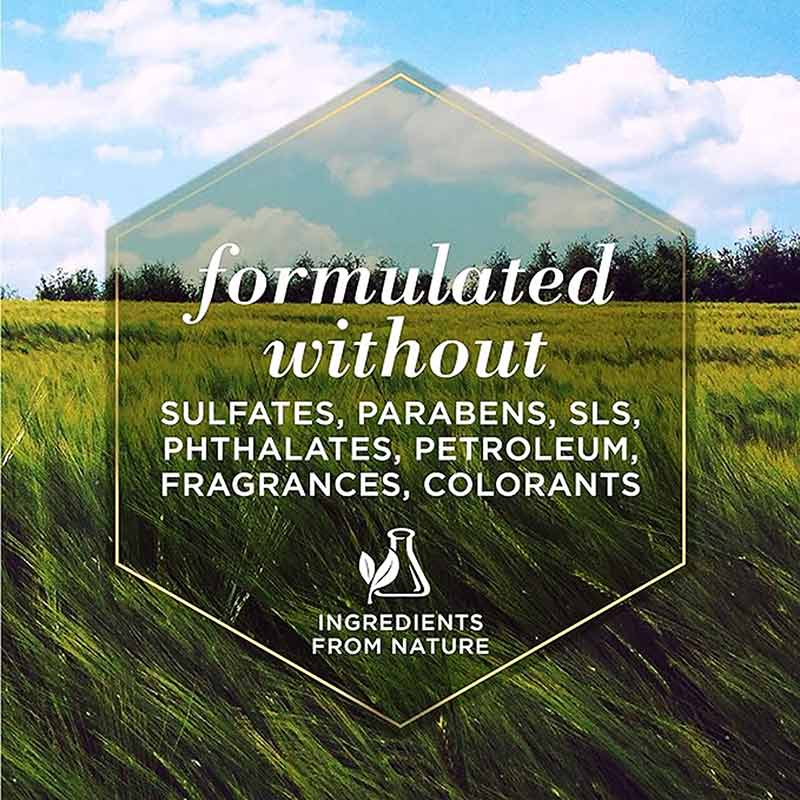 Itch Soothing Shampoo for Dogs, 16 Oz, by Burt's Bees Pets, image #7