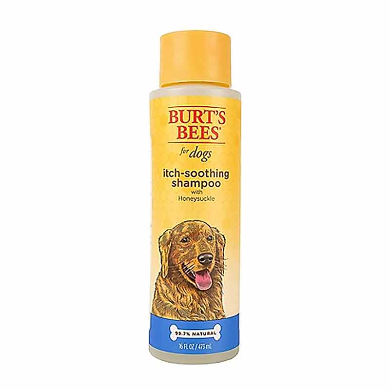 Itch Soothing Shampoo for Dogs, by Burt's Bees Pets