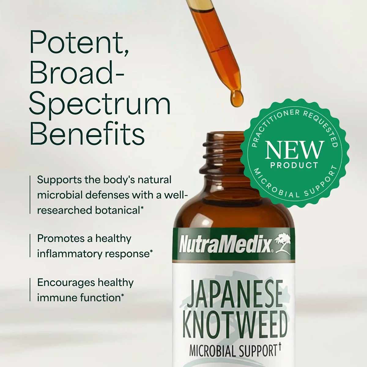 Japanese Knotweed, by NutraMedix