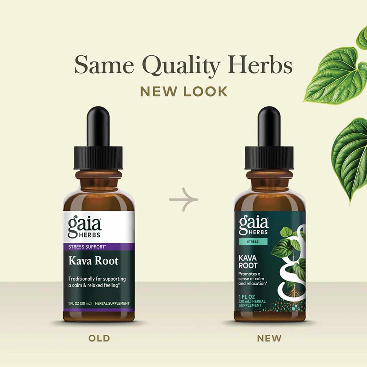 Kava Root Extract, by Gaia Herbs
