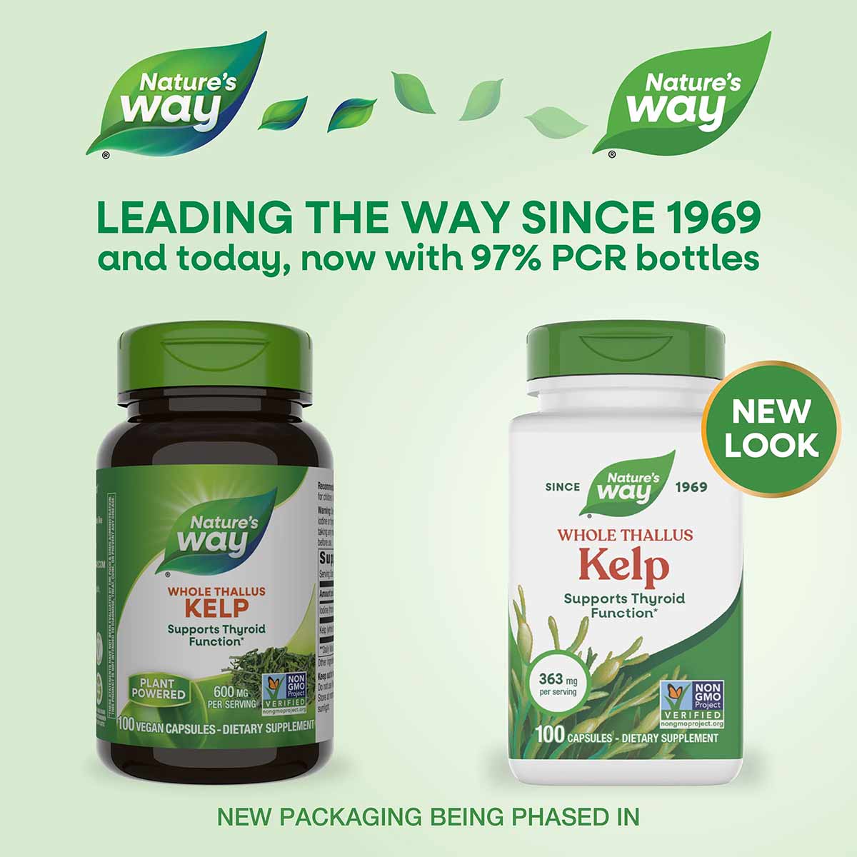 Nature's Way Kelp supplement bottles in dark green and white packaging with green caps, showing old and new label designs.