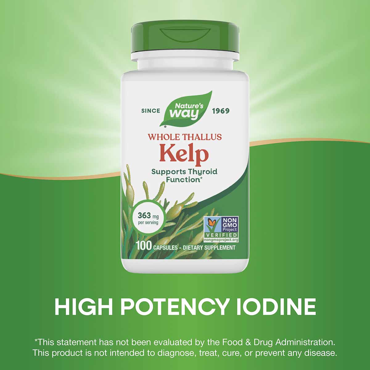 White bottle with green cap labeled "Nature's Way Whole Thallus Kelp, 363 mg per serving, 100 capsules" on green background.