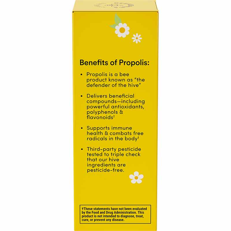 Kids Propolis Immune Support Throat Spray, by Beekeeper's Naturals, image #5