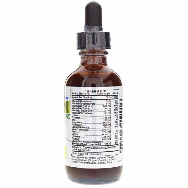 Kidz Play Fun Play Multi-Vitamin Mineral Liquid, by Systemic Formulas, image #2