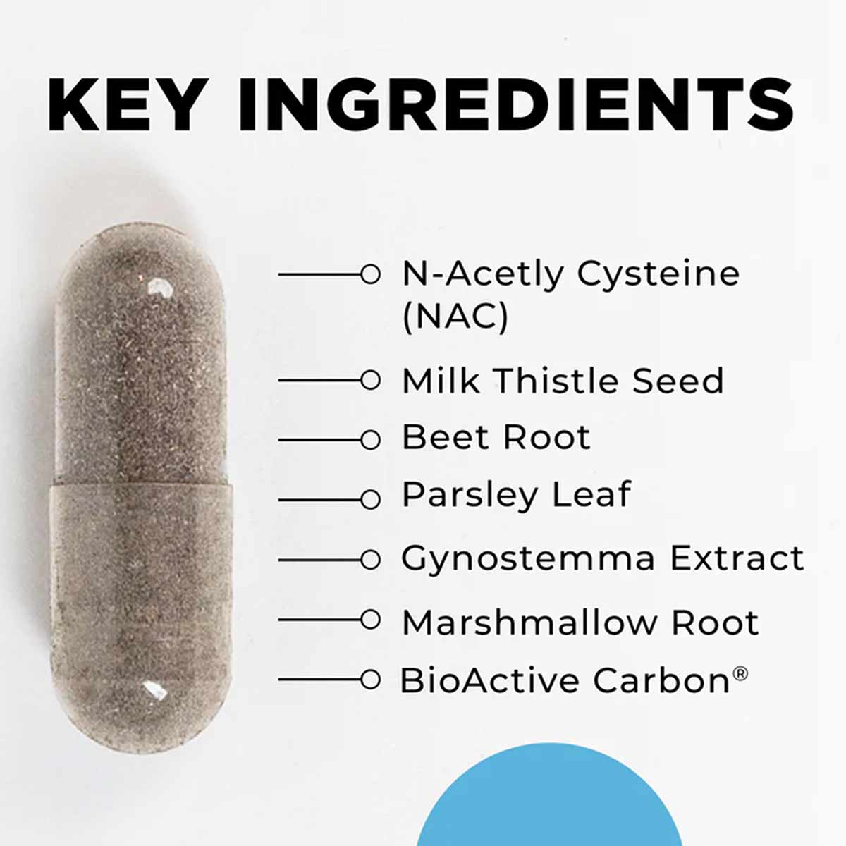 KL Support capsule with key ingredients listed: N-Acetyl Cysteine, Milk Thistle Seed, Beet Root, Parsley Leaf, Gynostemma Ext