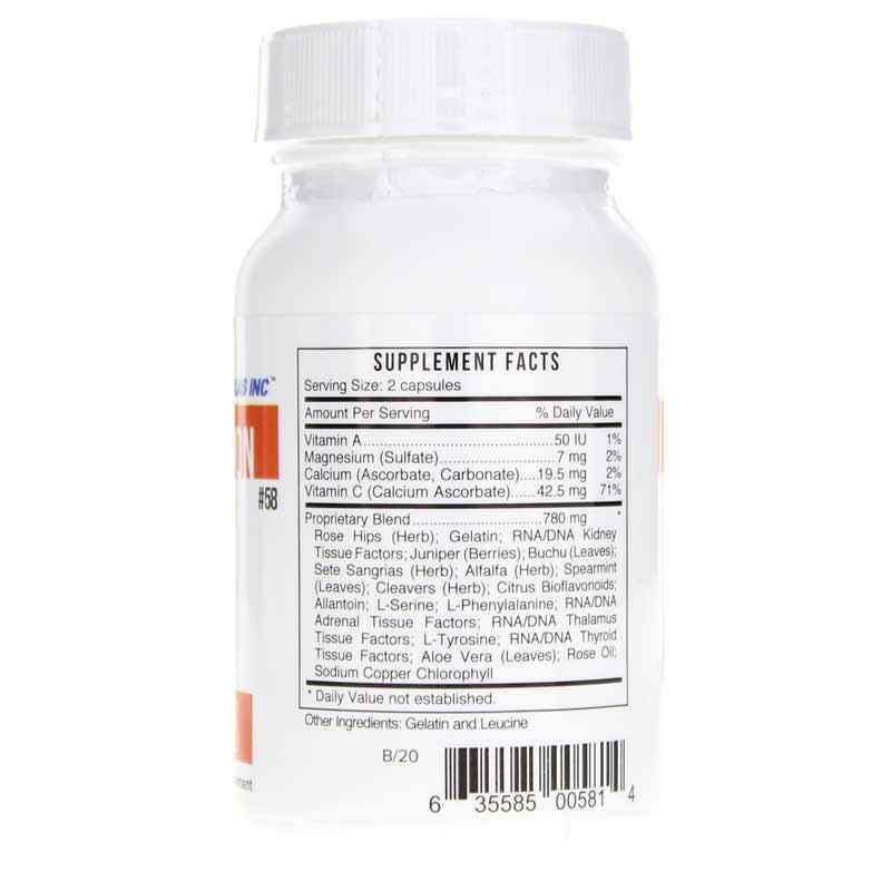 Ks Kidney, by Systemic Formulas, image #2