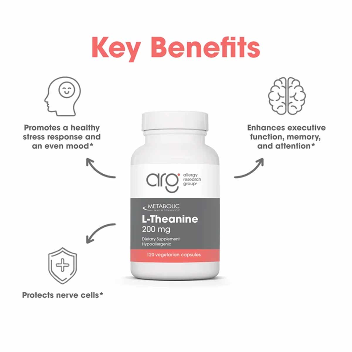 White bottle of L-Theanine 200 mg by Allergy Research Group with 120 vegetarian capsules and benefit icons.