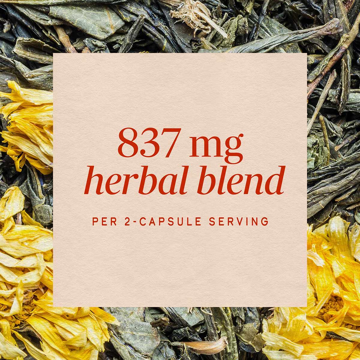 Herbal supplement label displaying "837 mg herbal blend per 2-capsule serving" overlaid on dried herbs and yellow flowers.