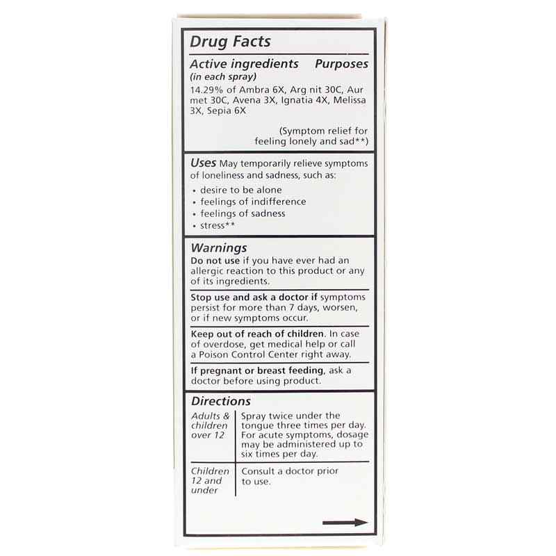 Letting Go Loneliness & Sadness, by Liddell Laboratories, image #3