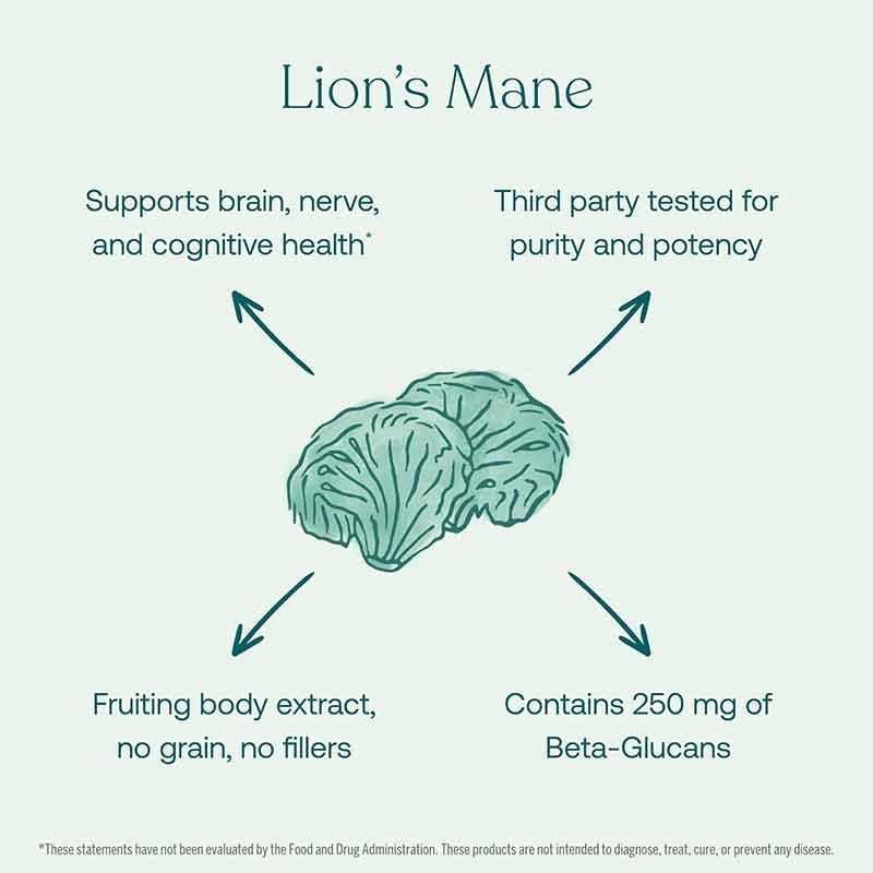 Lion's Mane, 120 Vegan Capsules, by True Grace, image #4
