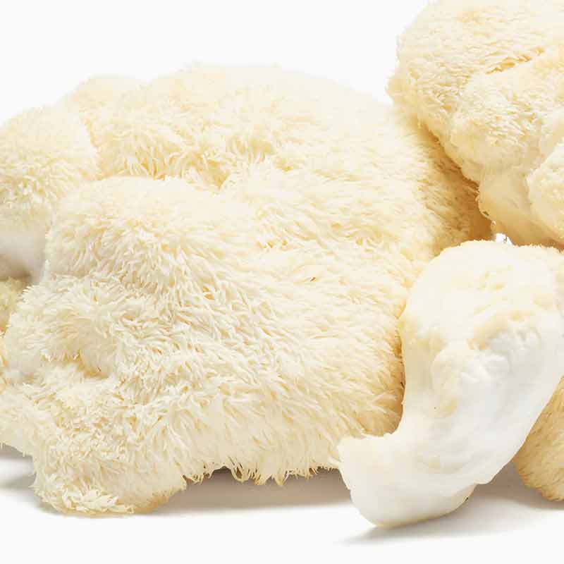 Lion's Mane Focus Support, 6 Gummies, by Charlottes Web, image #2