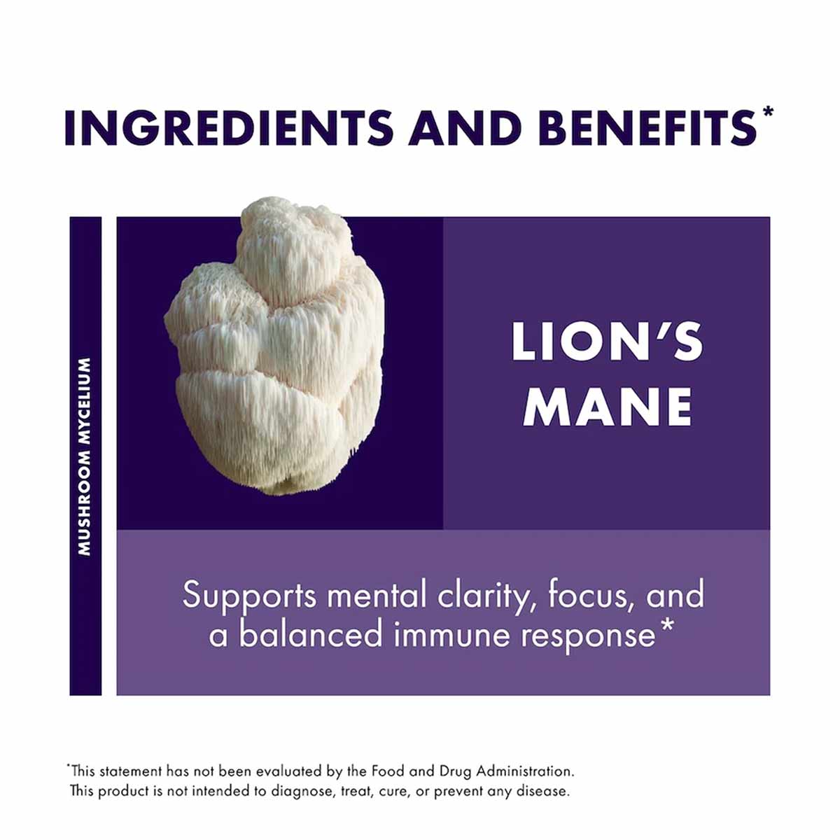 White lion's mane mushroom on purple background with "Ingredients and Benefits" text and mushroom mycelium label.