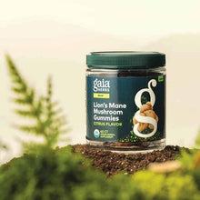 Lion’s Mane Mushroom Gummies, 60 Vegan Gummies, by Gaia Herbs, image #3