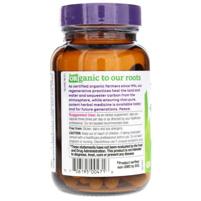 Lion's Mane Plus, by Oregons Wild Harvest, image #3