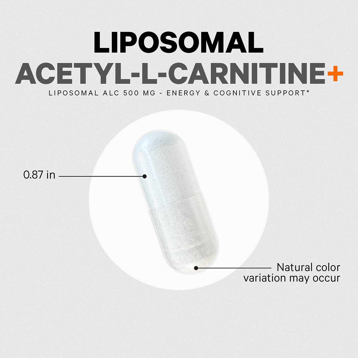 Liposomal Acetyl L-Carnitine+, by Codeage