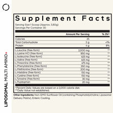 Supplement Facts label for Liposomal Multi Amino+ Powder showing amino acid content, serving size, and ingredients including 