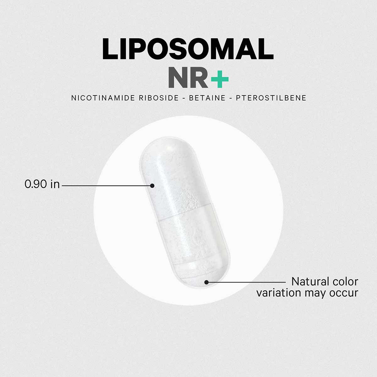 Clear capsule containing white powder with ingredient list and 0.90 inch size measurement indicated.