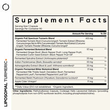 Liposomal Turmeric, by Codeage