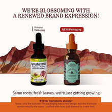Lymphatonic Liquid, 1 Oz, by Herbs, Etc, image #3