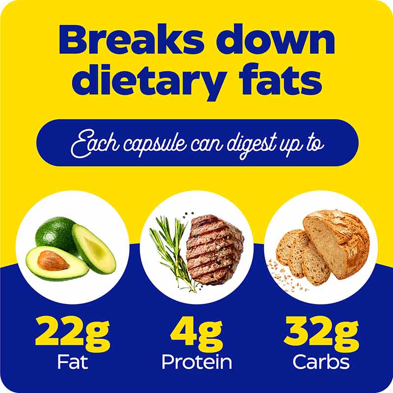 Lypo Gold, 120 Capsules, by Enzymedica, image #5