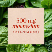 Cream label with red text reading "500 mg magnesium per 2-capsule serving" on green foliage background.