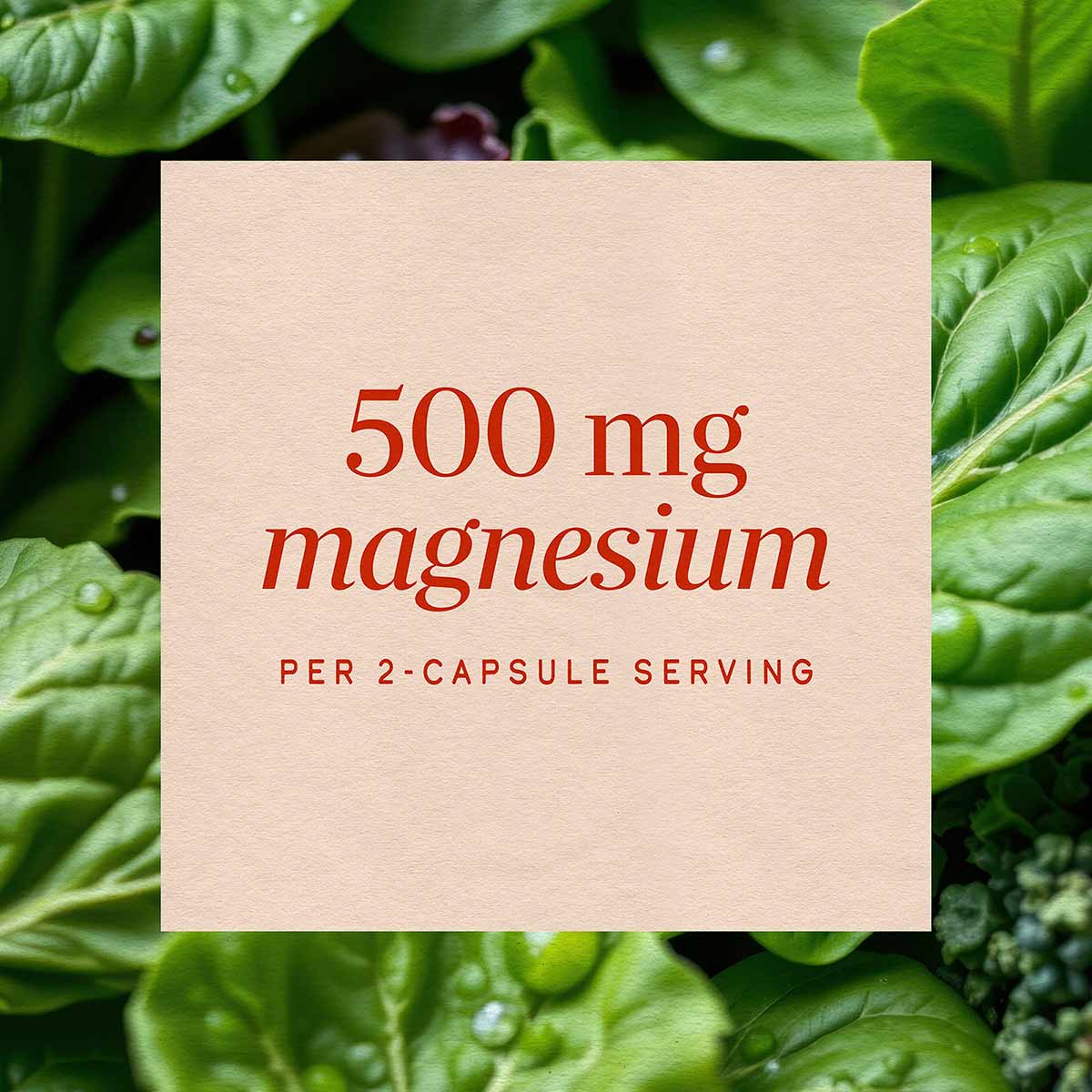 Cream label with red text reading "500 mg magnesium per 2-capsule serving" on green foliage background.