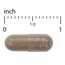 Menopause Support, by EuroMedica