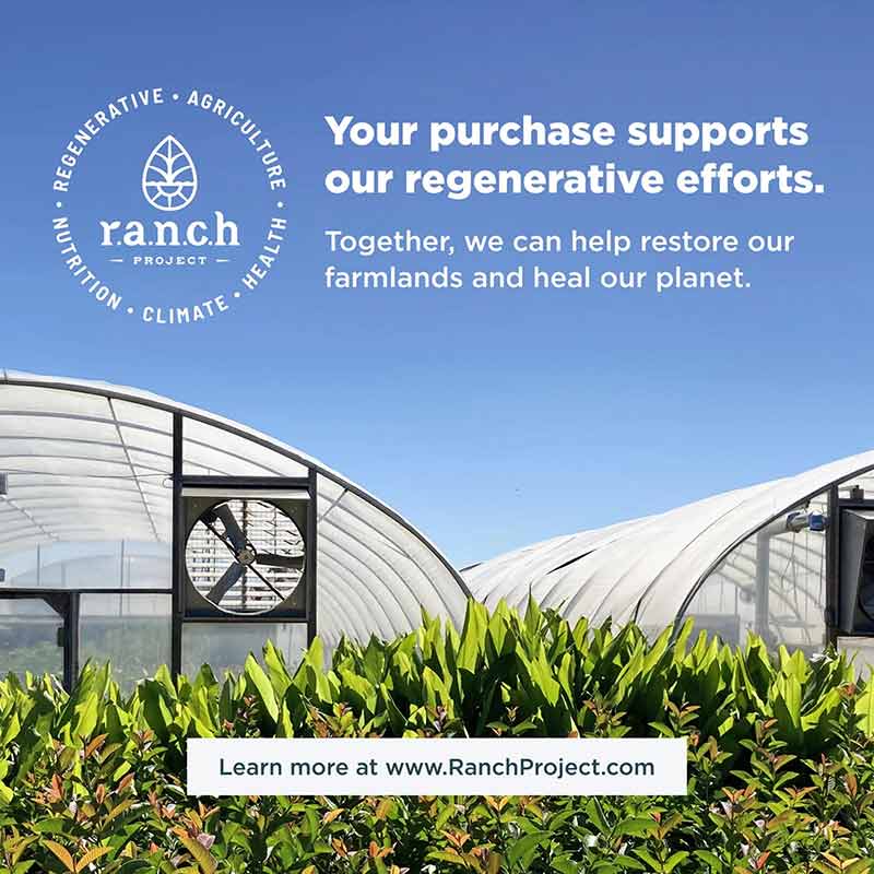 Menopause Support Probiotics, by Ancient Nutrition, image #6