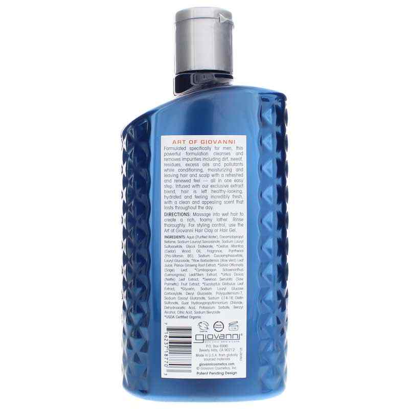 Men's 2-In-1 Daily Shampoo & Conditioner, Giovanni – Natural