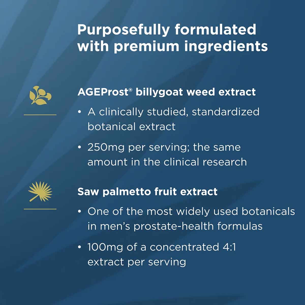 Men's Prostate Support, by Ancient Nutrition