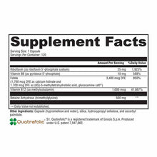 Methyl Protect, 120 Veg Capsules, by Xymogen, image #2