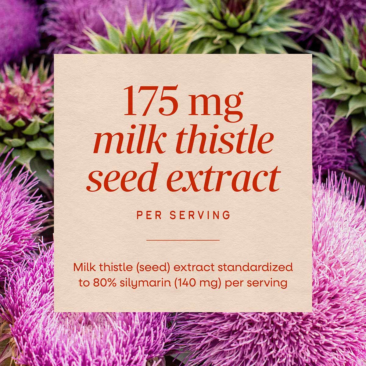 Cream-colored label displaying "175 mg milk thistle seed extract per serving" with purple thistle flowers in background.