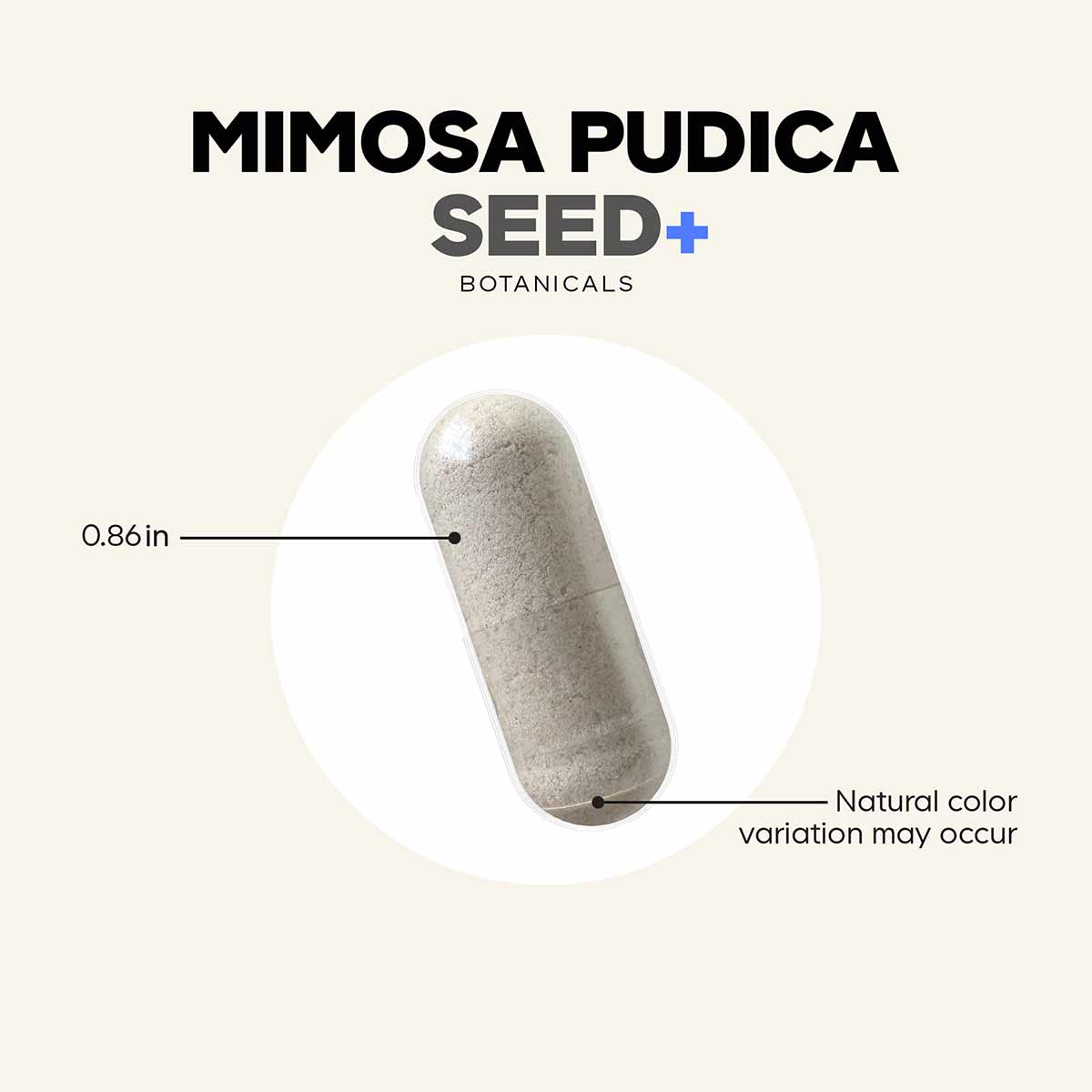 Beige capsule supplement labeled Mimosa Pudica Seed+ Botanicals, 0.86 inches in length.